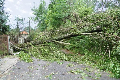 Škvalas ir netikėtumai termometro stulpelyje