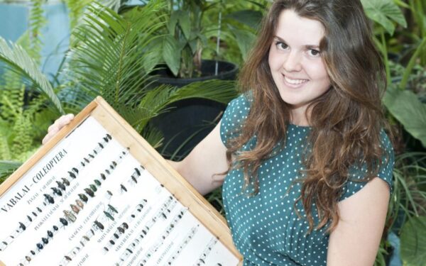 Studijos įkvėpė surinkti neįtikėtiną vabalų kolekciją