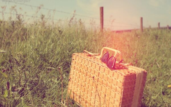 Saulės šviesa gamina laimę