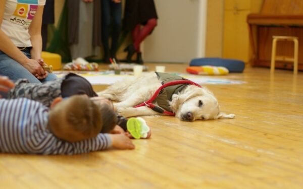 Aušra Štukytė: kaniterapiniai šunys ugdo vaikų pasitikėjimą savimi (foto)