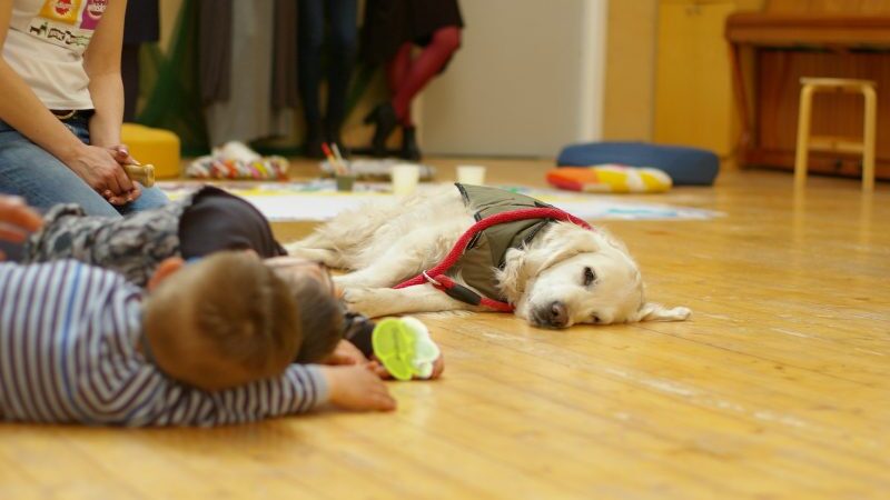 Aušra Štukytė: kaniterapiniai šunys ugdo vaikų pasitikėjimą savimi (foto)