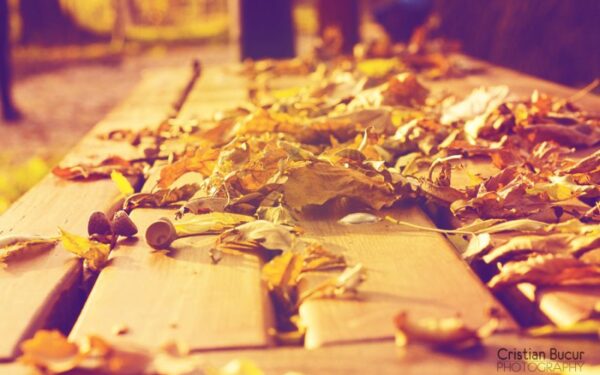 Spalio pradžios orai