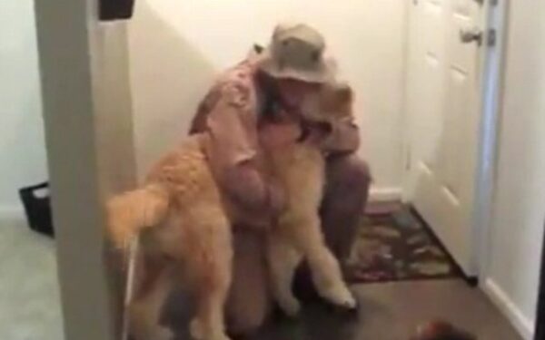 Amerikiečių karininko ir šuns draugystė pravirkdė tūkstančius (video)