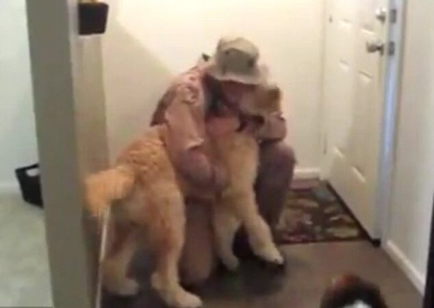 Amerikiečių karininko ir šuns draugystė pravirkdė tūkstančius (video)