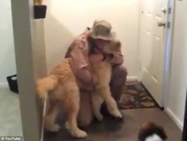 Amerikiečių karininko ir šuns draugystė pravirkdė tūkstančius (video)