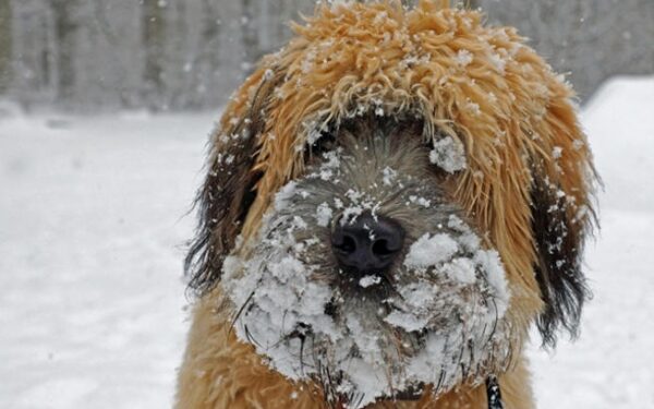 Savaitės orai: po trumpo pavasario vėl šalta žiema