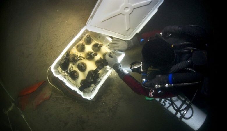 Iš Baltijos jūros dugno – 170 metų senumo alus (Video)