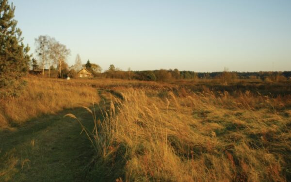 Keliauk kitaip – Zackagirio pažintinis takas (Foto)