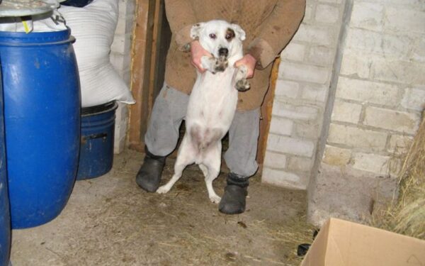 Globotinio pusryčiai: narve gyvenantis Taškis trokšta laisvės