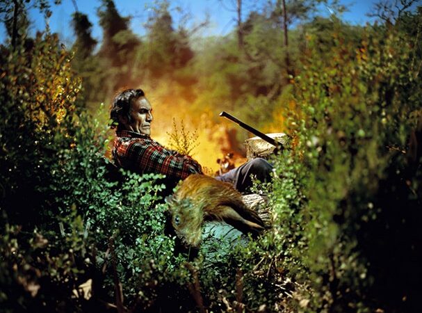 „Sony World Photography Awards 2011“: paskelbti metų geriausi (Foto)