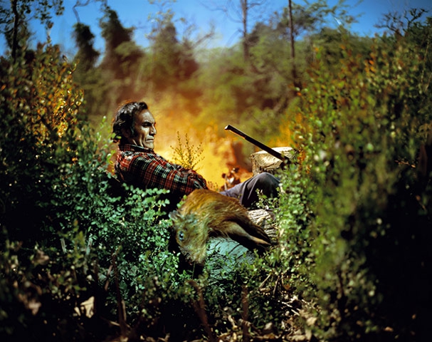 „Sony World Photography Awards 2011“: paskelbti metų geriausi (Foto)