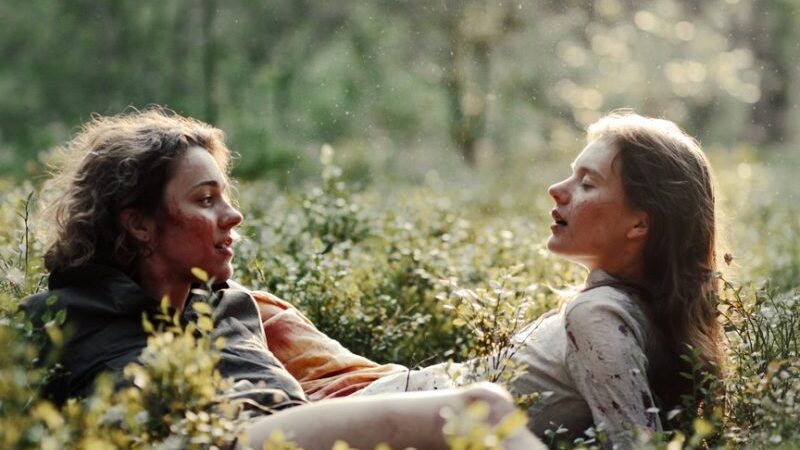 „Sangailės vasara“ tapo Lietuvos pretendentu siekti „Oskaro“