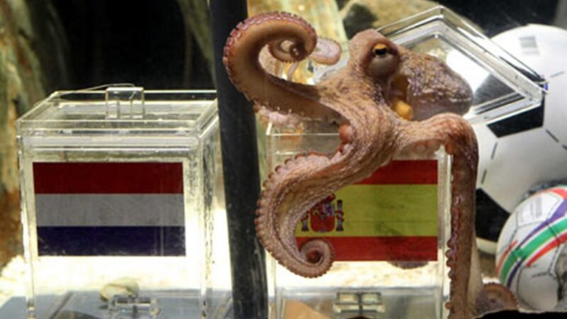 Ilsėkis ramybėje, orakulai Pauli