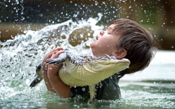 Jauniausias krokodilų tramdytojas – trijų metų berniukas (foto)