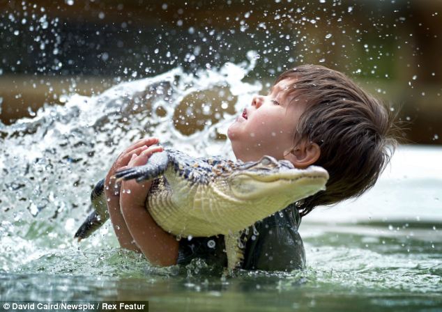 Jauniausias krokodilų tramdytojas – trijų metų berniukas (foto)