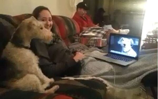 Video pusryčiai: „Skypu” bendraujantys šunys