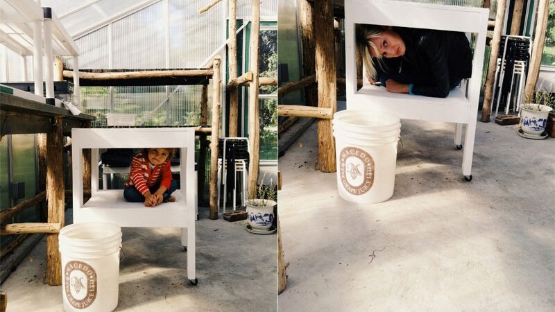 Auklė pamėgdžiojo sumanaus mažylio fotografijas (foto)