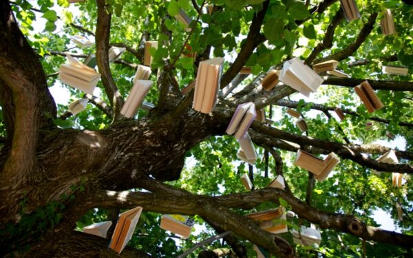 Popierinės knygos ar elektroninė skaityklė – kuris pasirinkimas mažiau kenkia gamtai?