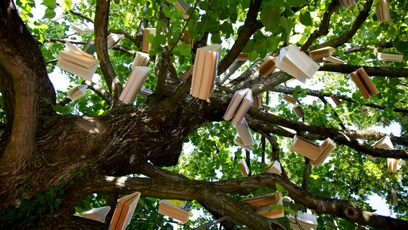 Popierinės knygos ar elektroninė skaityklė – kuris pasirinkimas mažiau kenkia gamtai?