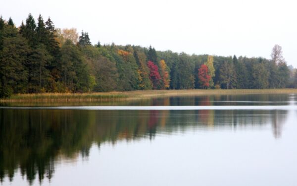 Keliauk kitaip – Tytuvėnų regioninis parkas (Foto)