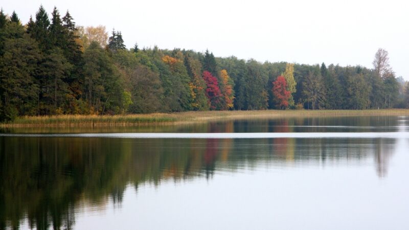Keliauk kitaip – Tytuvėnų regioninis parkas (Foto)