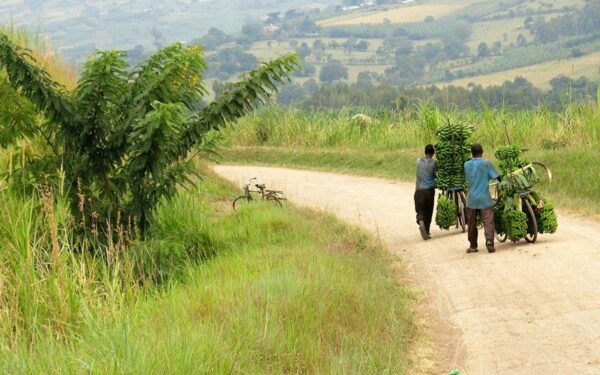 Ieškantiems nuotykių – 3 egzotinių kelionių kryptys