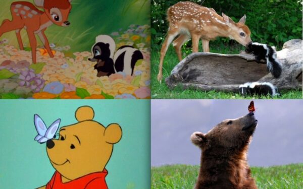 Jie egzistuoja! Gyvūnai, stebėtinai panašūs į animacinius personažus (foto)