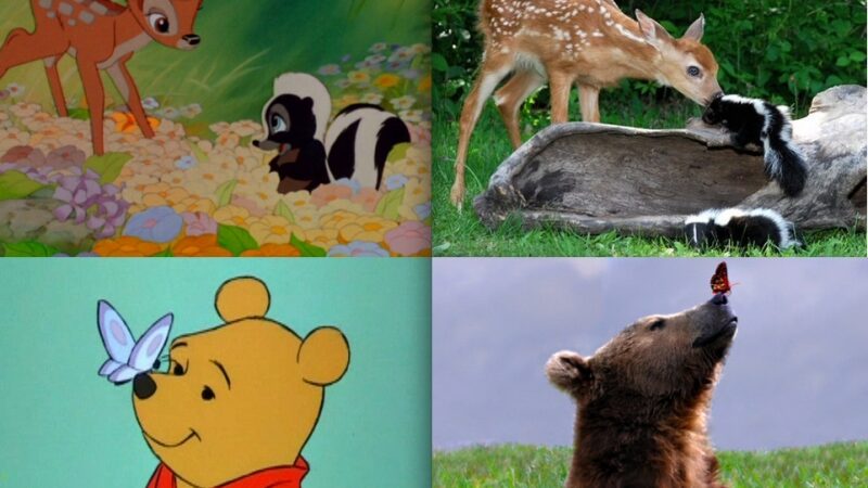 Jie egzistuoja! Gyvūnai, stebėtinai panašūs į animacinius personažus (foto)
