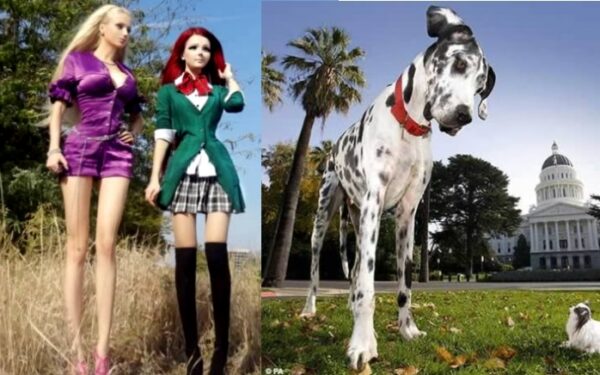 Gyva lėlė Barbė ir Anime mergina, aukščiausias ir mažiausias pasaulio žmogus bei kiti keisti susitikimai (foto)