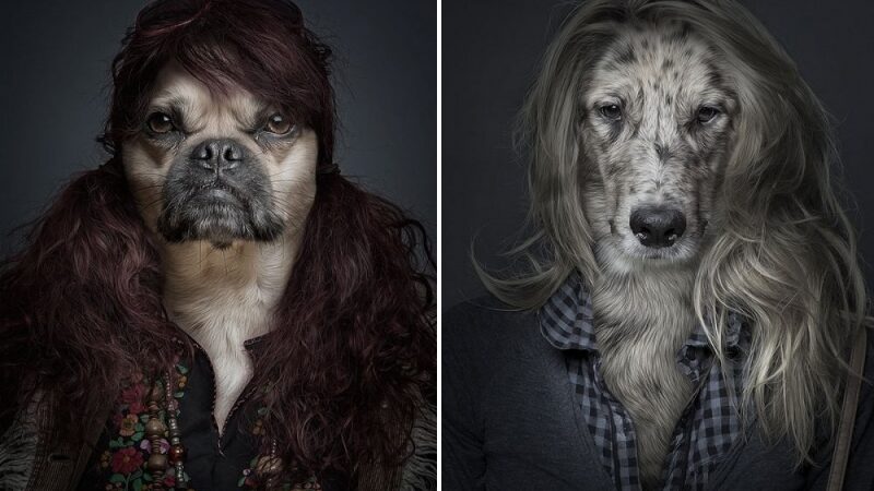 Labiau nei panašūs į savo šeimininkus (foto)