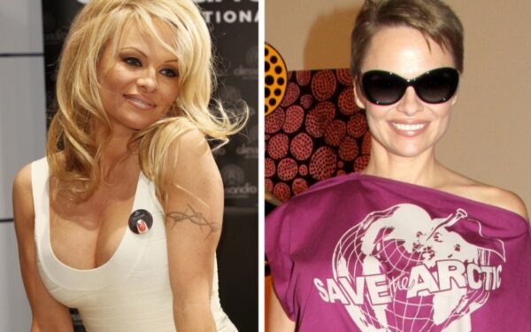 Ryškiausi įžymybių plaukų stiliaus pokyčiai 2013 metais (foto)