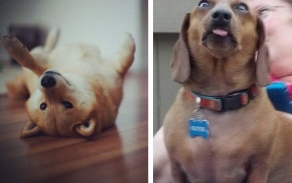 Gyvenimas „Instagramoje“ ir realybėje (foto)