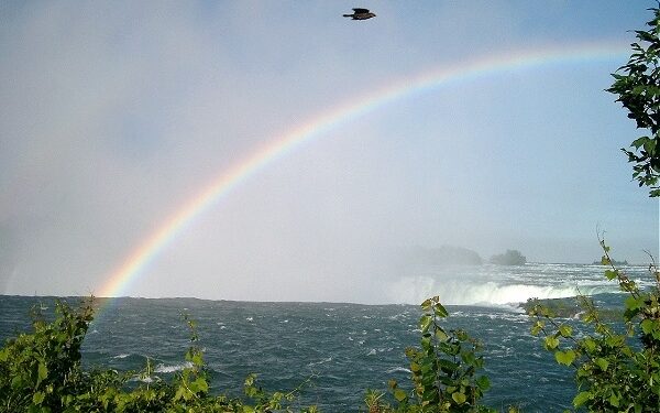 Birželio mėnesio horoskopas 12-ai Zodiako ženklų