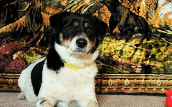 Globotinio pusryčiai: besišypsanti Varta