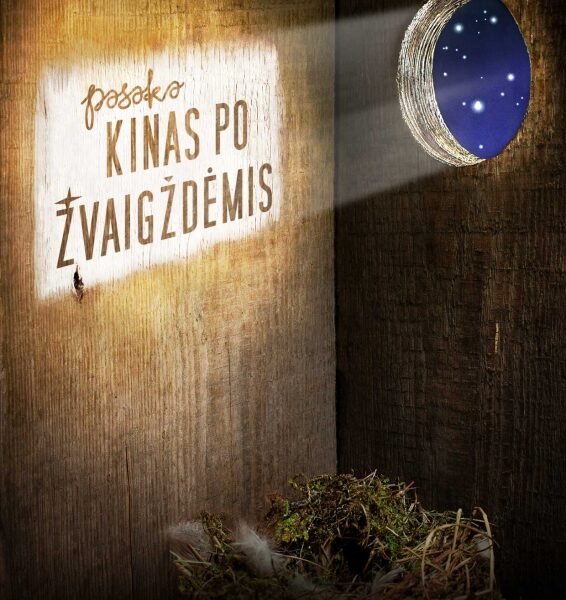 Vasarą vilniečius ir vėl džiugins „Kinas po žvaigždėmis“