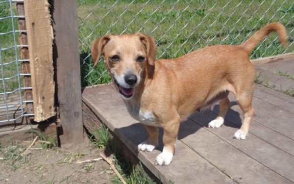 Globotinio pusryčiai: Vesta pasinaudojo ir atsikratė