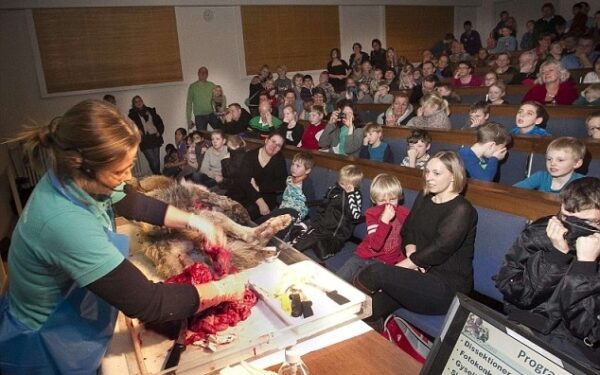 Danai nenustoja stebinti: vaikams pademonstruota, kaip skrodžiamas vilkas (N-18, foto)