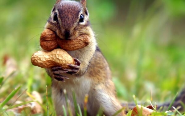 Savaitgalio orai: sunku patikėti, kad tai lapkričio vidurys