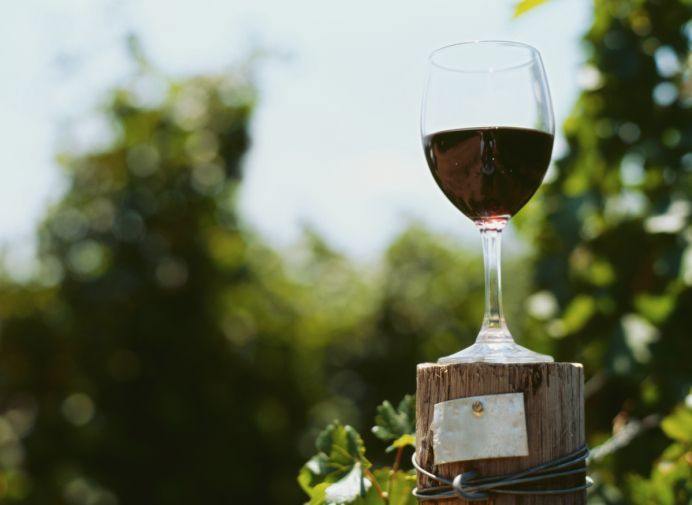 „Mineraliniai vandenys” vynų pristatymui pasitelks inovacijas