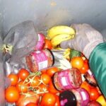 Fryganizmas Lietuvoje: kartais konteineriuose maisto tiek