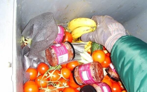 Fryganizmas Lietuvoje: kartais konteineriuose maisto tiek, kad neįmanoma panešti