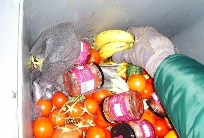 Fryganizmas Lietuvoje: kartais konteineriuose maisto tiek, kad neįmanoma panešti