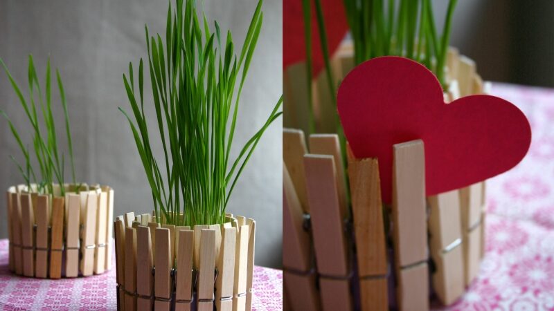 Pasidaryk pats. Kviečių želmenys tuno skardinėje