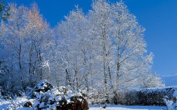 Sausio 7 dienos oro ir kelių sąlygos Lietuvoje