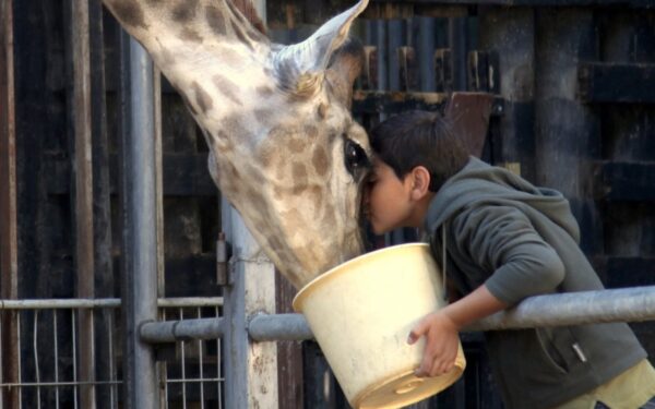 Pagrindinė „Žiemos ekranų“ programa kvies keliauti