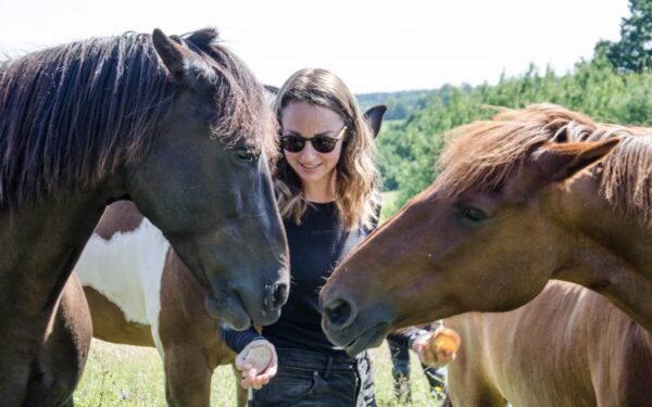 „Po Lietuvą su žirgais 2017“ surinktos paramos užteks ir dviem naujiems globotiniams