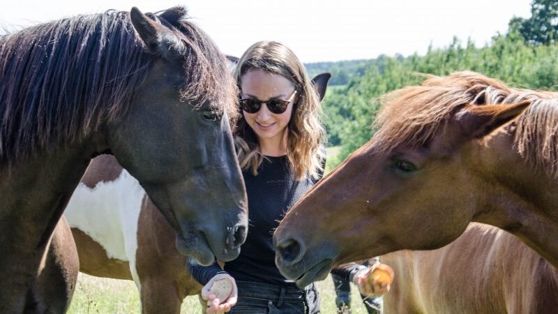 „Po Lietuvą su žirgais 2017“ surinktos paramos užteks ir dviem naujiems globotiniams