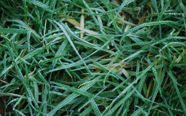 Į šalį plūstels vėsus oras