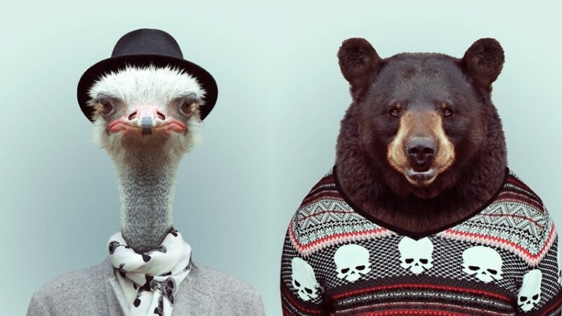 Ispanų dizainerio zoo mada (foto)