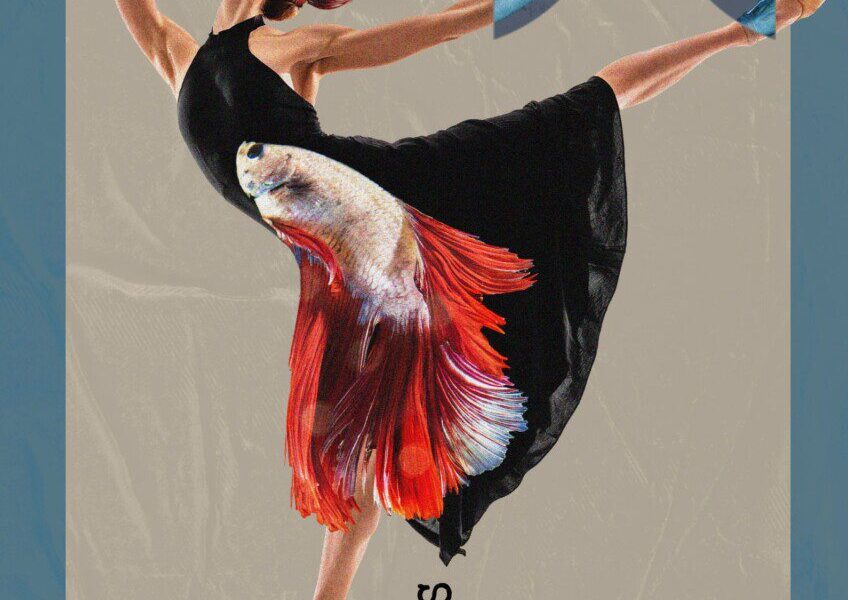 Dienos Horoskopas: 2024-08-20